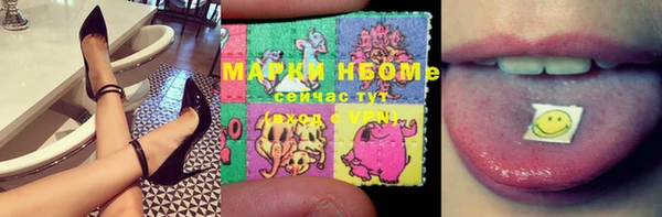 дживик Новозыбков