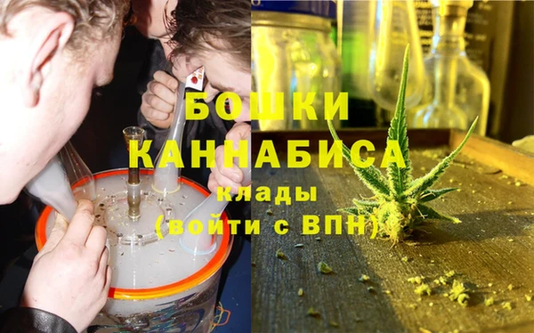 дживик Новозыбков