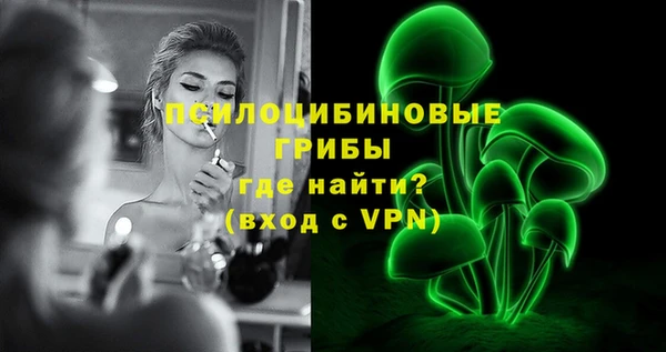 дживик Новозыбков