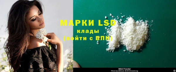амф Новодвинск
