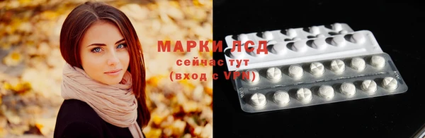 амф Новодвинск