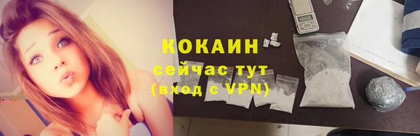 дживик Новозыбков
