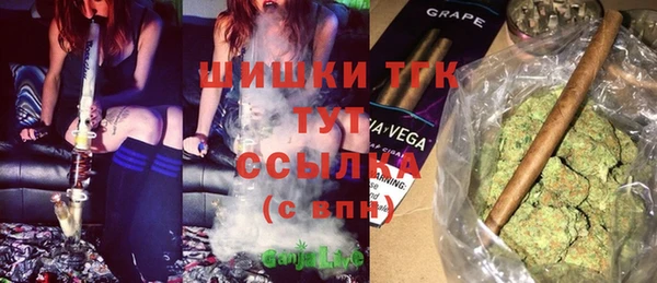 дживик Новозыбков