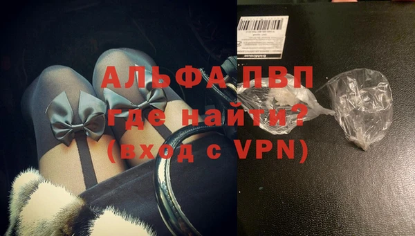 дживик Новозыбков