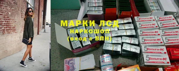 дживик Новозыбков