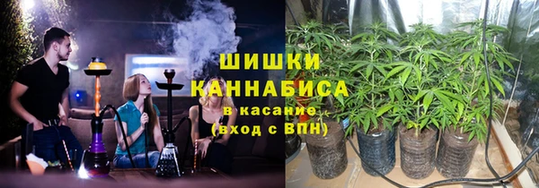 дживик Новозыбков