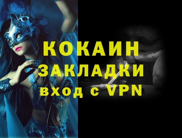 дживик Новозыбков