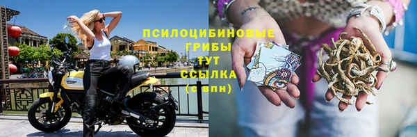 дживик Новозыбков