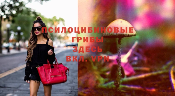 мяу мяу мука Новокубанск